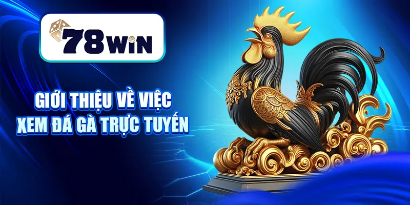 Giới thiệu về việc xem đá gà trực tuyến