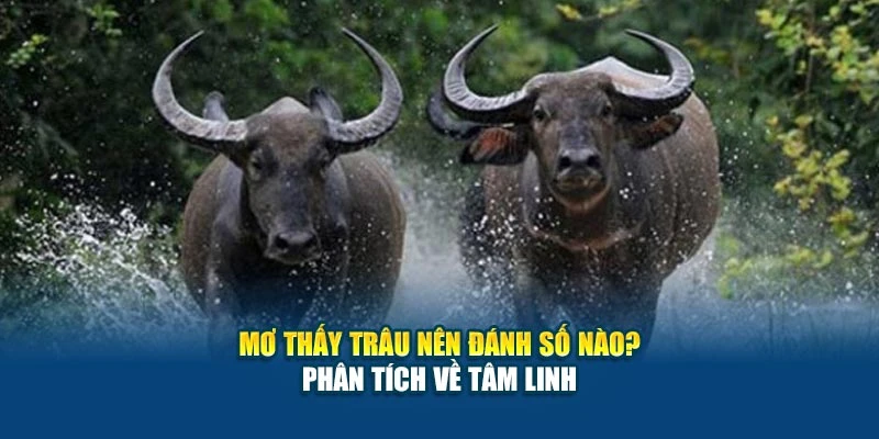 Mơ Thấy Trâu Nên Đánh Số Nào? Phân Tích Về Tâm Linh 2025 4 Mơ Thấy Trâu Nên Đánh Số Nào? Phân Tích Về Tâm Linh
